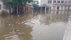 ભારે વરસાદથી પોરબંદરના માધવપુરની બજારોમાં ભરાયા પાણી, ગ્રામજનો પરેશાન