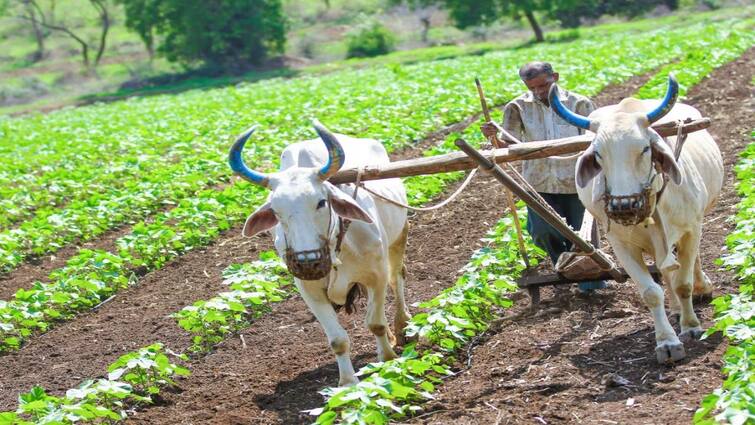 Telangana government is working to implement Rythu Bharosa scheme Raithu Bharosa: రైతుభరోసా మరింత ఆలస్యం- వ్యవసాయేతర భూములు సర్వే తర్వాత సాయం!