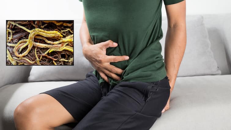 Intestinal obstruction due to Ascaris lumbricoides involves its symptoms and diagnosis and treatment and prevention Ascaris Lumbricoides Causes : కడుపులోనే పెరిగే పాములతో జాగ్రత్త.. ఏటా పెరుగుతున్న మృతుల సంఖ్య, రాకుండా తీసుకోవాల్సిన జాగ్రత్తలు ఇవే