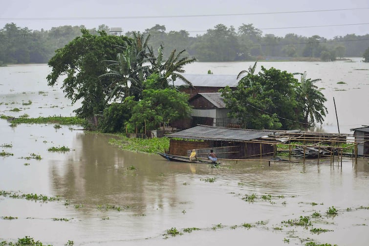 rainfall update 178 talukas 11 inches rain lakhni banaskantha રાજ્યનાં 178 તાલુકામાં મેઘાની જમાવટ, બનાસકાંઠાના લાખણીમાં સાંબેલાધાર 11 ઇંચ વરસાદ ખાબક્યો