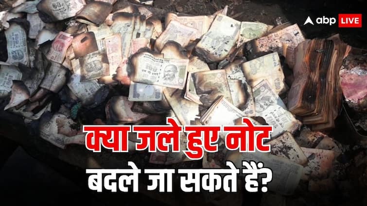 क्या फटे नोट के अलावा जले हुए नोट भी बदल सकते हैं आप? currency notes exchange rules by rbi can burnt notes would be exchanged know the answer क्या फटे नोट के अलावा जले हुए नोट भी बदल सकते हैं आप?