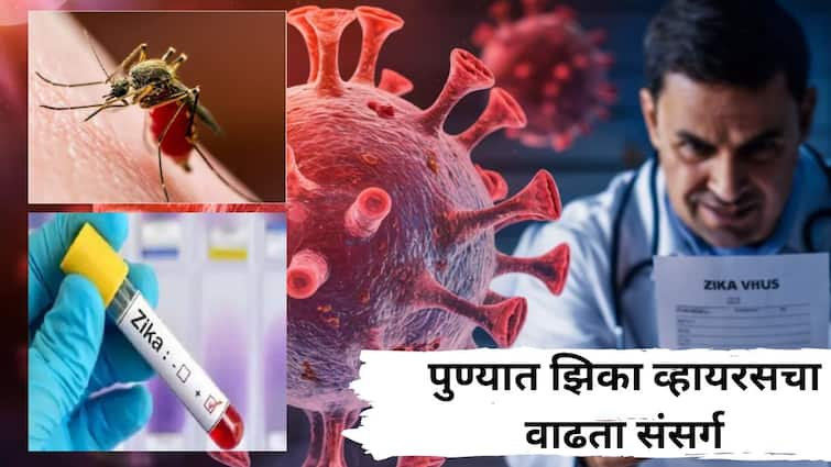 Pune Zika Virus Community Spread Number of patients reaches 7 two pregnant women also infected Know All Symptoms पुण्यात झिकाचा धोका कायम; रुग्णांची संख्या पोहोचली 7 वर, दोन गर्भवतींनाही संसर्ग