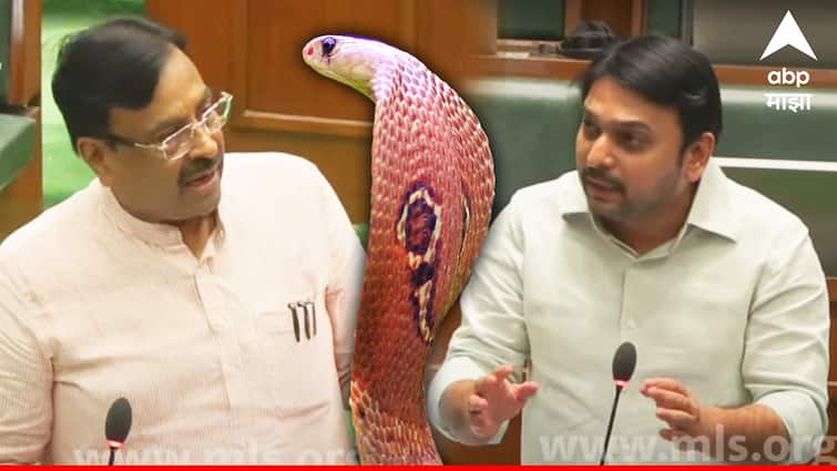 Congress MLA Vishwajit Kadam questioned Forest Minister Sudhir Mungantiwar on the issue of Forest Department Snake News साप वनात चावत नाही तर तुमच्या घरी येऊन चावतो, विश्वजीत कदमांच्या प्रश्नावर मुनगंटीवारांचं प्रत्युत्तर