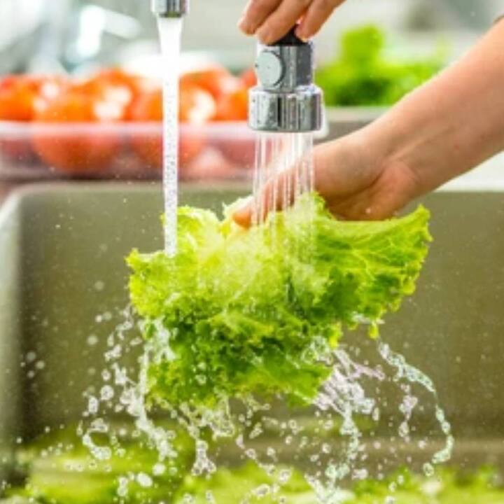 ਦਰਅਸਲ, ਮਾਨਸੂਨ ਦੌਰਾਨ ਖਾਣੇ ਨਾਲ ਜੁੜੀਆਂ ਗਲਤੀਆਂ ਕਾਰਨ ਪੇਟ ਖਰਾਬ ਹੋਣ ਦਾ ਖਤਰਾ ਰਹਿੰਦਾ ਹੈ। ਇਸ ਮੌਸਮ 'ਚ ਸਬਜ਼ੀਆਂ 'ਤੇ ਕੀੜੇ-ਮਕੌੜੇ ਜਾਂ ਗੰਦਗੀ ਫੈਲ ਜਾਂਦੀ ਹੈ। ਇਹ ਕੀੜੇ ਜਾਂ ਗੰਦਗੀ ਕਿਸੇ ਨਾ ਕਿਸੇ ਤਰ੍ਹਾਂ ਸਾਡੇ ਪੇਟ ਵਿਚ ਦਾਖਲ ਹੋ ਕੇ ਸਾਡੀ ਸਿਹਤ ਨੂੰ ਨੁਕਸਾਨ ਪਹੁੰਚਾਉਂਦੇ ਹਨ। ਇਸ ਤੋਂ ਇਲਾਵਾ ਇਨ੍ਹਾਂ 'ਤੇ ਕੀਟਨਾਸ਼ਕਾਂ ਦੀ ਵਰਤੋਂ ਵੀ ਕੀਤੀ ਜਾਂਦੀ ਹੈ।