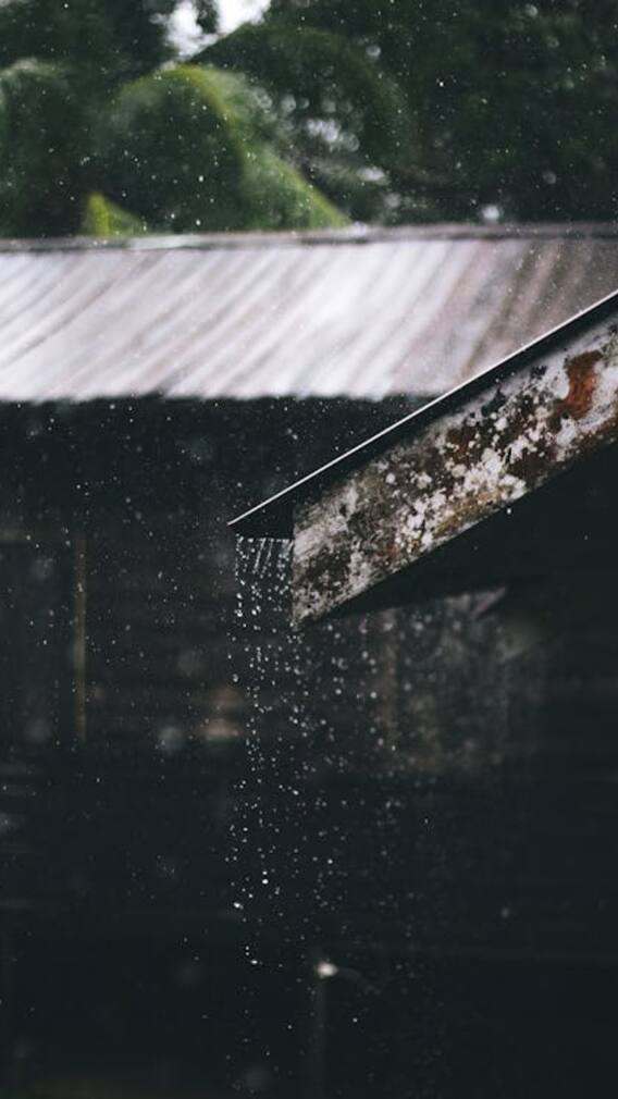 ਪੰਜਾਬ ਦੇ ਇਨ੍ਹਾਂ ਜ਼ਿਲ੍ਹਿਆਂ 'ਚ ਵਰ੍ਹੇਗਾ ਛਮਾਛਮ ਮੀਂਹ