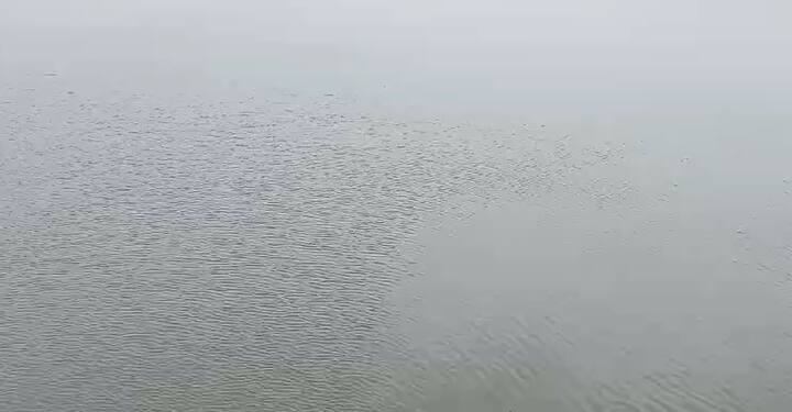 હાલમાં ડેમ સંપૂર્ણ રીતે ભરાઇ ગયો છે, અને એક દરવાજો અડધો ફૂટ ખોલીને પાણી છોડાઇ રહ્યું છે. ભારે વરસાદના કારણે તંત્ર એલર્ટ મૉડમાં છે.