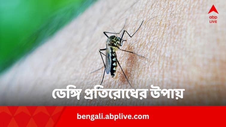 Know Best Home Remedies And Natural Repellents To Prevent Dengue In Monsoon According To WHO Dengue Prevention: বর্ষায় বাড়ে ডেঙ্গির প্রকোপ, নিজেকে ও পরিবারকে সুরক্ষিত রাখুন এভাবে