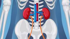 Myths Vs Facts: શું પથરીથી બચવા માટે બીયર પીવું યોગ્ય છે? જાણો આ વિશે નિષ્ણાતો શું કહે છે