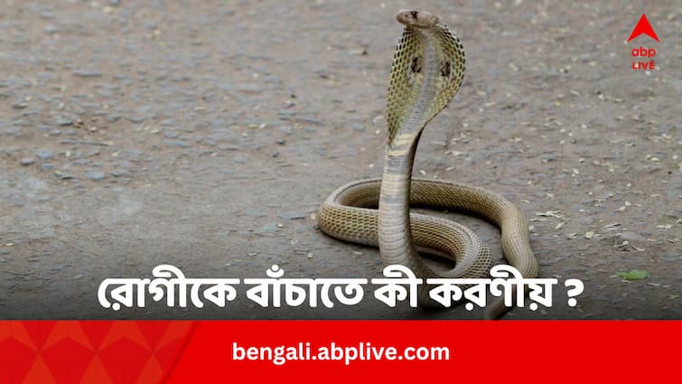 Snake Bite Treatment What To Do In First 100 Minutes Of Snake Bite Know From Expert Snake Bite Treatment: বিষধর সাপে কামড়ানো রোগীকে বাঁচানোর একমাত্র পথ রুল অফ হান্ড্রেড, কী এই নিয়ম ?