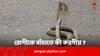 Snake Bite Treatment: বিষধর সাপে কামড়ানো রোগীকে বাঁচানোর একমাত্র পথ রুল অফ হান্ড্রেড, কী এই নিয়ম ?
