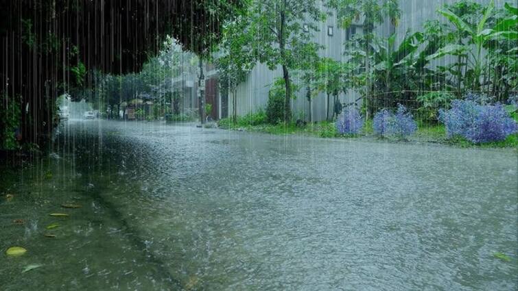 Monsoon news Heavy rain in these districts of Punjab imd issued alert for 5 days Monsoon News: ਪੰਜਾਬ ਦੇ ਇਨ੍ਹਾਂ ਜ਼ਿਲ੍ਹਿਆਂ ਵਿਚ ਭਾਰੀ ਮੀਂਹ, ਮੌਸਮ ਵਿਭਾਗ ਵੱਲੋਂ 5 ਦਿਨਾਂ ਲਈ ਅਲਰਟ ਜਾਰੀ