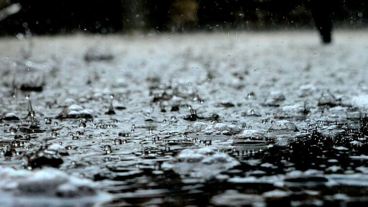 Acid Rain Effects: कैसे होती है एसिड रेन, क्या ये तेजाब की तरह होती है? acid rain causes and its effect and why it is harmful Acid Rain Effects: कैसे होती है एसिड रेन, क्या ये तेजाब की तरह होती है?
