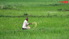 खेती से होगी तगड़ी कमाई, किसानों को फसल बोने से पहले करना होगा बस ये एक काम