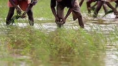 શું બીજાની જમીન પર ખેતી કરનારા ખેડૂતો લઇ શકે છે પીએમ કિસાન યોજનાનો લાભ?