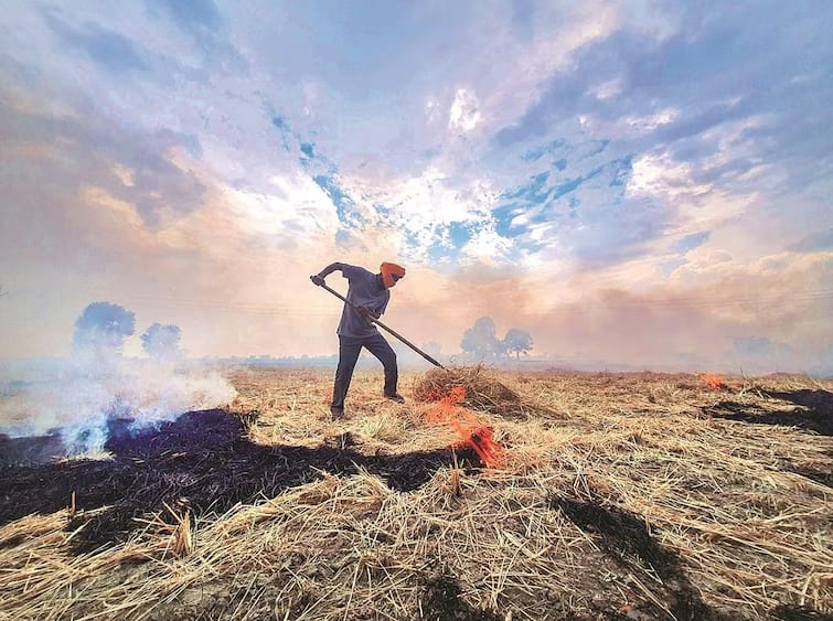 No study linking Punjab farm fires to Delhi air pollution Air Pollution: ਪਰਾਲੀ ਦੇ ਧੂੰਏਂ 'ਤੇ ਵਿਗਿਆਨਕ ਖੋਜ 'ਚ ਵੱਡਾ ਖੁਲਾਸਾ, ਪੰਜਾਬ ਦੇ ਕਿਸਾਨਾਂ ਨੂੰ ਮਿਲੀ ਰਾਹਤ, NGT 'ਚ ਜੱਜਾਂ ਨੇ ਸੁਣਾਇਆ ਵੱਡਾ ਫੈਸਲਾ