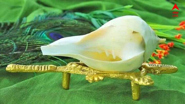 বৃহস্পতিবার ঠাকুরের সিংহাসনে কী কী জিনিস রাখতে হবে? বলা হয় যদি সিংহাসনে দক্ষিণাবর্ত শঙ্খ রাখেন তা শুভ। জলে ভরে ঠাকুরের সিংহাসনে এটি রেখে দিন।