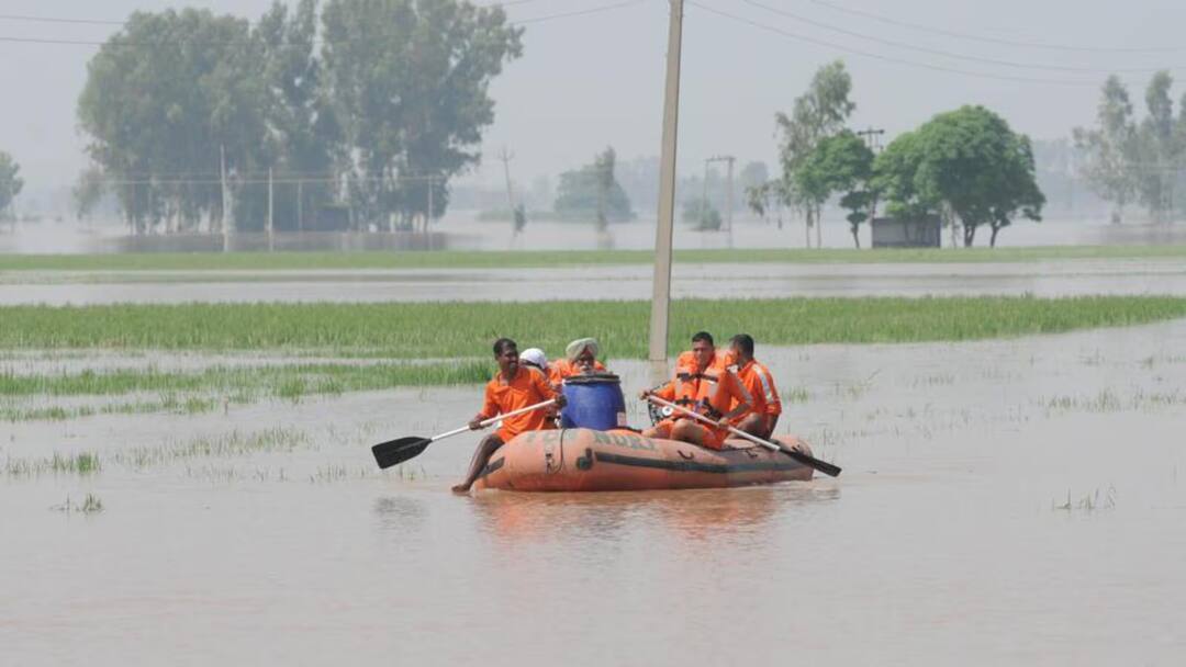 Flood protection: ਹੜ੍ਹਾਂ ਨੂੰ ਰੋਕਣ ਲਈ ਪੰਜਾਬ ਸਰਕਾਰ ਨੇ ਫੰਡ ਕੀਤੇ ਜਾਰੀ, ਦੇਖੋ ਮੌਜੂਦਾ ਸਮੇਂ ਕੀ ਹੈ ਪੰਜਾਬ ਦੇ ਡੈਮਾਂ 'ਚ ਪਾਣੀ ਦੀ ਸਥਿਤੀ Flood protection works amounting to Rs. 252 crores being done: Anurag Verma Flood protection: ਹੜ੍ਹਾਂ ਨੂੰ ਰੋਕਣ ਲਈ ਪੰਜਾਬ ਸਰਕਾਰ ਨੇ ਫੰਡ ਕੀਤੇ ਜਾਰੀ, ਦੇਖੋ ਮੌਜੂਦਾ ਸਮੇਂ ਕੀ ਹੈ ਪੰਜਾਬ ਦੇ ਡੈਮਾਂ 'ਚ ਪਾਣੀ ਦੀ ਸਥਿਤੀ