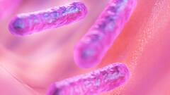 5 Remedies To Prevent Urine Infections