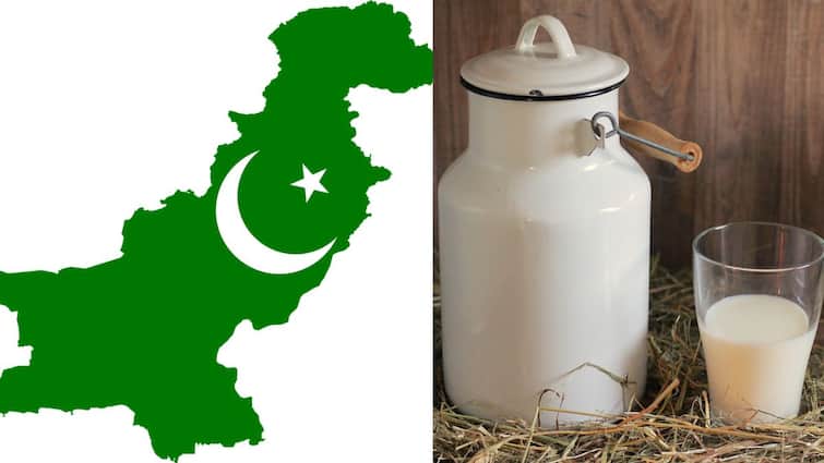 Pakistan Milk price per liter in is Rs. 370 price rose due to inflation reason for imf forcing Pakistan Milk Price: என்னது! ஒரு லிட்டர் பால் விலை ரூ.370 ஆ? - அதிர்ச்சியில் பாகிஸ்தான் மக்கள்! காரணம் என்ன?