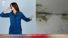 Monsoon: ਮਾਨਸੂਨ ਦੇ ਮੌਸਮ 'ਚ ਘਰਾਂ 'ਚ ਹੋਈ ਸਲਾਬ੍ਹ ਦੀ ਬਦਬੂ ਨੂੰ ਇੰਝ ਕਰੋ ਦੂਰ, ਜਾਣੋ ਆਸਾਨ ਟਿਪਸ