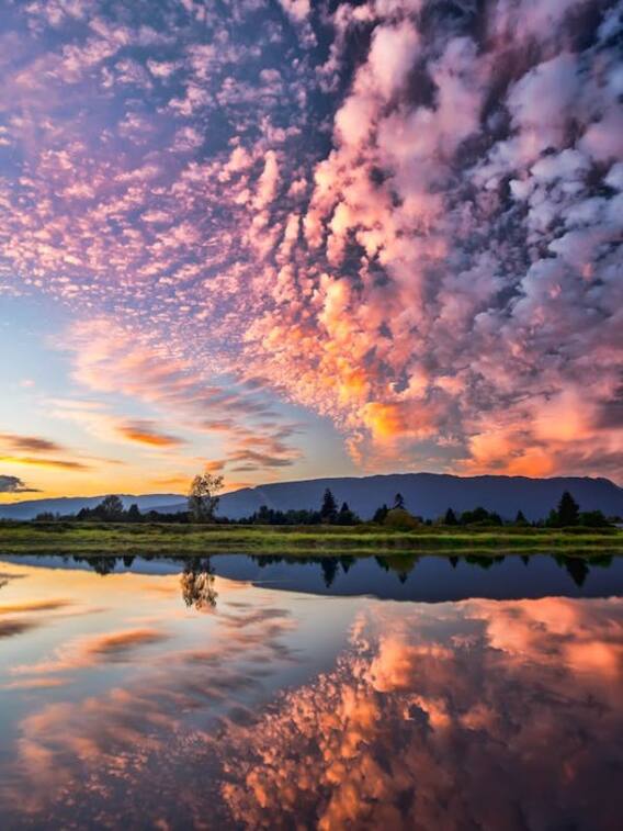 क्या होती है गुलाबी ठंड?