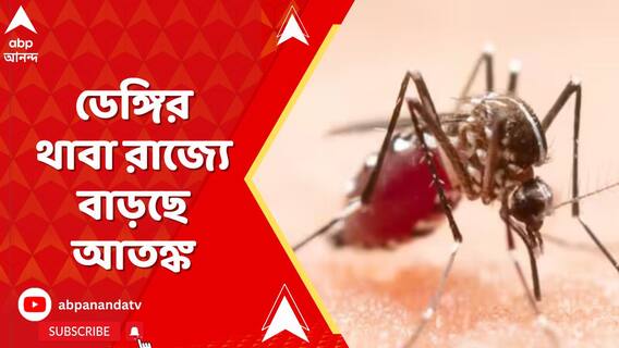 বর্ষার হাত ধরে ফিরল ডেঙ্গি-আতঙ্ক, ৭ দিনে রাজ্যে আক্রান্ত ১২৯ জন
