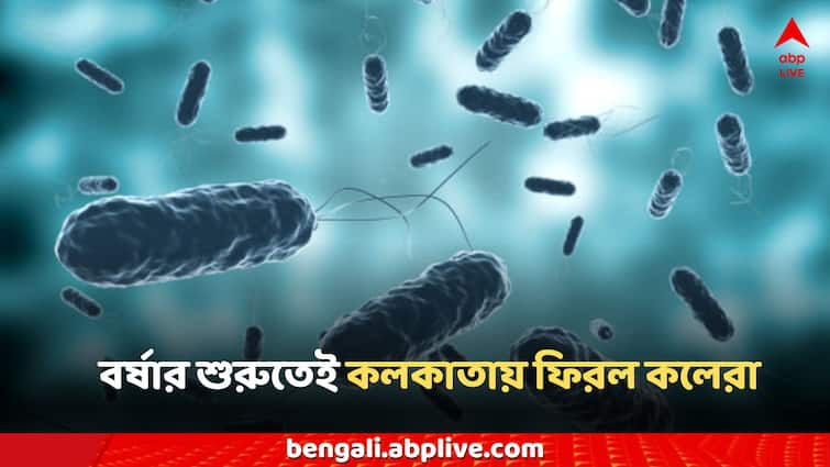 Kolkata News Cholerae Baguiati patient affected admitted in beleghata ID Hospitals Kolkata Cholera News: কলকাতায় ফিরল কলেরা! বাগুইআটিতে আক্রান্ত যুবক, কী কী উপসর্গ দেখা দিচ্ছে?