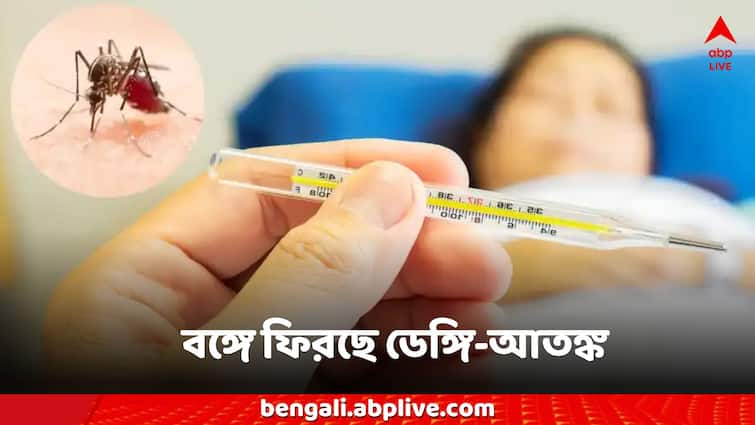 West Bengal Dengue News number increases in monsoon health department Dengue News: বর্ষার হাত ধরে ফিরছে ডেঙ্গি-আতঙ্ক, ক্রমশ বাড়ছে আক্রান্তর সংখ্যা