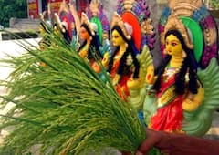 Laxmi Puja: সংসারে অভাব-অনটন লেগেই আছে? লক্ষ্মীদেবীকে তুষ্ট করতে বৃহস্পতিবার করুন এই কাজটি