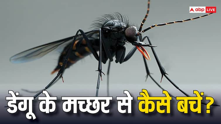 Dengue how to protect you and your family from dengue mosquitoes Dengue: डेंगू के मच्छरों से बचने के ये हैं पांच तरीके, नहीं होगा कोई खतरा