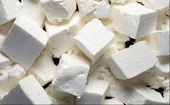 Mushroom Sandwich: સવારના નાસ્તામાં કઈક સ્પેશ્યલ ખાવા માંગો છો, તો આ મશરૂમ સેન્ડવીચને એકવાર જરૂરથી ટ્રાય કરો