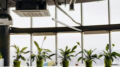 Side Effects OF AC: ஏசி பயன்படுத்துவதில் உள்ள சிக்கல்கள் என்ன?தெரிஞ்சிக்கோங்க!