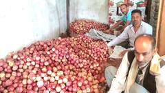 हिमाचल में इस बार सेब खरीदारी में बढ़ेगा कंपटीशन, जानें क्या है वजह?
