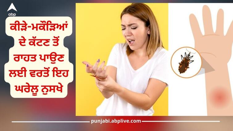 Bug Bites: Use this home remedy instead of bug bites in monsoon, you will get relief Bug Bites: ਮਾਨਸੂਨ ਵਿੱਚ ਕੀੜਿਆਂ ਦੇ ਕੱਟਣ 'ਤੇ ਪ੍ਰੇਸ਼ਾਨ ਹੋਣ ਦੀ ਥਾਂ ਵਰਤੋਂ ਇਹ ਘਰੇਲੂ ਉਪਾਅ, ਮਿਲੇਗੀ ਰਾਹਤ