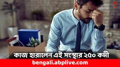 পরপর তিনবার ! ব্যবসা ঢেলে সাজাতে ফের ২৫০ কর্মীকে ছাঁটাই করল এই সংস্থা