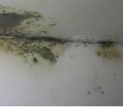 Monsoon: ਮਾਨਸੂਨ ਦੇ ਮੌਸਮ 'ਚ ਘਰਾਂ 'ਚ ਹੋਈ ਸਲਾਬ੍ਹ ਦੀ ਬਦਬੂ ਨੂੰ ਇੰਝ ਕਰੋ ਦੂਰ, ਜਾਣੋ ਆਸਾਨ ਟਿਪਸ