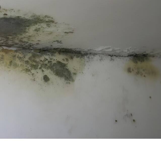 ਕਈ ਵਾਰ ਕਮਰੇ ਵਿਚ ਸਲਾਬ੍ਹ ਦੀ ਬਦਬੂ ਇੰਨੀ ਤੇਜ਼ ਹੁੰਦੀ ਹੈ ਕਿ ਵਿਅਕਤੀ ਲਈ ਉਥੇ ਬੈਠਣਾ ਵੀ ਮੁਸ਼ਕਲ ਹੋ ਜਾਂਦਾ ਹੈ। ਅਜਿਹੀ ਸਥਿਤੀ 'ਚ ਸਮੱਸਿਆ ਤੋਂ ਛੁਟਕਾਰਾ ਪਾਉਣ ਲਈ ਸਲਾਬ੍ਹ ਵਾਲੇ ਕਮਰੇ 'ਚ ਦੀਵੇ 'ਚ ਕਪੂਰ ਅਤੇ ਲੌਂਗ ਜਲਾਉਣ ਨਾਲ ਬਦਬੂ ਦੂਰ ਹੋ ਜਾਵੇਗੀ।