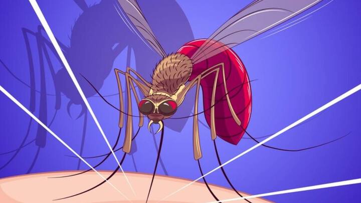 यदि आप डेंगू से संक्रमित हो चुके हैं तो इसके लक्षण सबसे पहले शरीर पर दिखाई देते हैं. इस बीमारी का पता चलते ही डॉक्टर सबसे पहले एंटीबॉडी तैयार करने की दवा देते हैं.