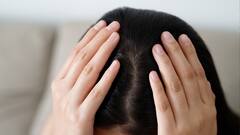 Hair Care Tips: જો તમે પણ ચોમાસામાં ડ્રાય વાળથી પરેશાન છો તો આજે અપનાવો આ ઘેરલું નુસખા, ચાંદીની જેમ ચમકવા લાગશે હેર