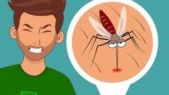 Risk Factors of Dengue: डेंगू में क्या होते हैं सबसे बड़े रिस्क फैक्टर? हेल्थ एक्सपर्ट से जानें