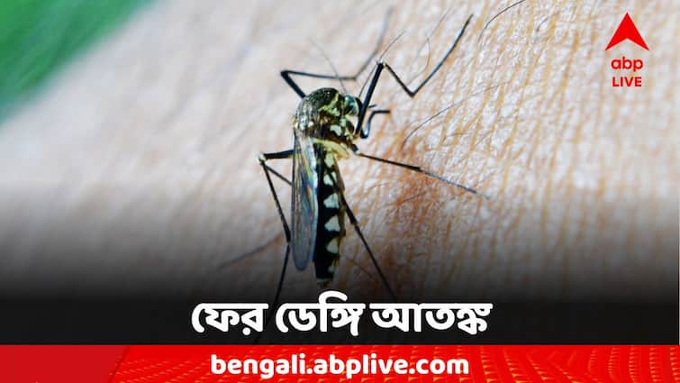 WB Dengue Update  Malda15 people infected in one week WB Dengue Update: ফের ডেঙ্গির বাড়বাড়ন্ত, মালদায় এক সপ্তাহে আক্রান্ত ১৫ পার
