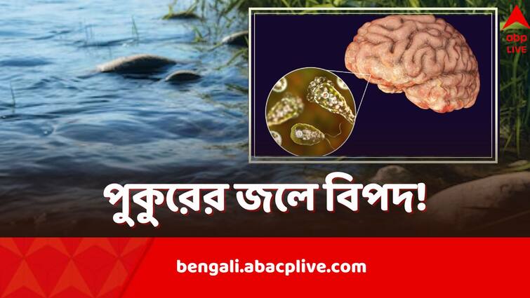 Kerala teen dies of rare brain eating Amoeba infection amoebic meningoencephalitis after he took bath in pond Brain Eating Amoeba: মস্তিষ্ক খেকো অ্যামিবার সংক্রমণ, পুকুরে স্নান করে চরম পরিণতি কিশোরের