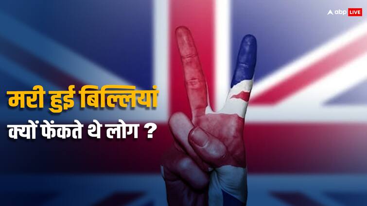 It was not easy to hold elections in UK why did people there throw dead cats and dogs during election rallies ब्रिटेन में चुनावी रैली के दौरान मरी हुई बिल्लियां क्यों फेंकते थे लोग? जानिए इसकी वजह