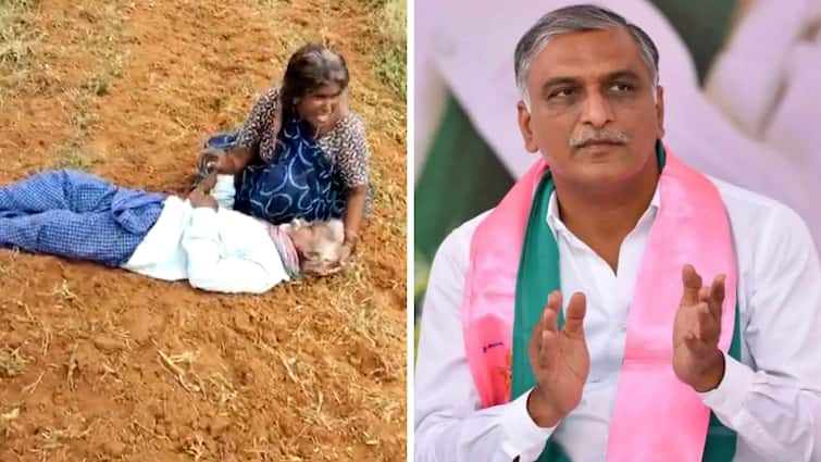 BRS MLA Harish Rao posts farmer suicide video and accuses Revanth Reddy government BRS News: రైతు ఆత్మహత్య వీడియోను పోస్ట్ చేసిన హరీశ్ రావు - చూస్తే కన్నీళ్లు ఆగవు!