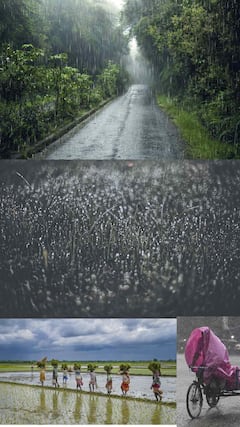 जुलै महिन्यात 'या' भागात पडणार पाऊस?