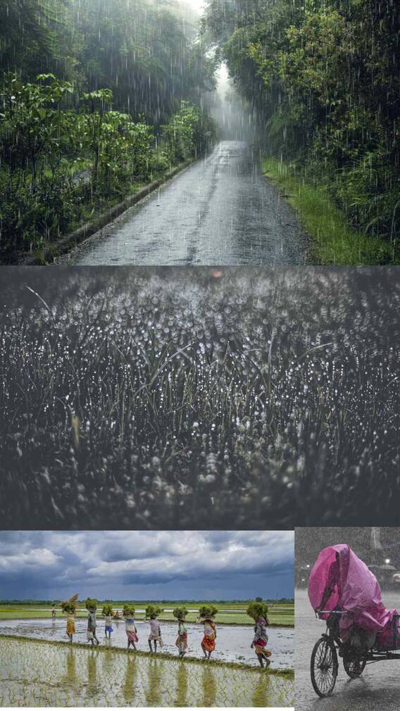 जुलै महिन्यात 'या' भागात पडणार पाऊस?