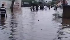 Rain: ગુજરાતમાં ચોમાસુ જામ્યુ, કડીમાં સાંબેલાધાર 5 ઇંચ વરસાદથી જનજીવન ખોરવાયુ, ઘરો અને શેરીઓમાં ભરાયા કેડસમા પાણી...