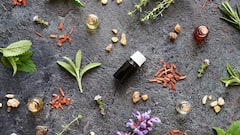 Vanilla To Lavender: Unique Scents For Every Personality