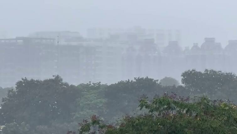 in last 24 hours  Gujarat  which district falls rain know rain data Rain Update: બનાસકાંઠામાં બારેમેઘ ખાંગા, છેલ્લા 24 કલાકમાં 141 તાલુકામાં  મનમૂકી વરસ્યાં મેઘરાજા