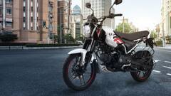 Bajaj Freedom 125: বিশ্বের প্রথম সিএনজি বাইক উদ্বোধন করলেন নীতিন গডকড়ী, কী চমক বাজাজ ফ্রিডমে ?